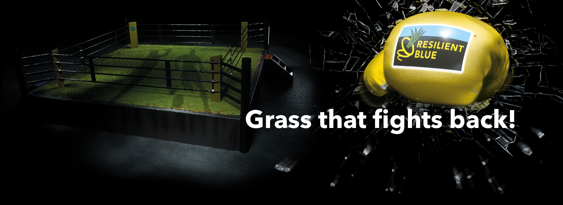 HEADER-Turf-INT-Resilient-Blue-700p-2024!
						