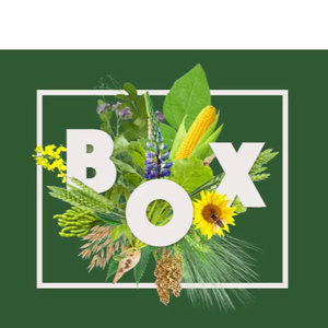 Barenbrug neemt deel aan DLG Feldtage 2024