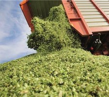 Corrigeer voorjaarskuil met de tweede grassnede