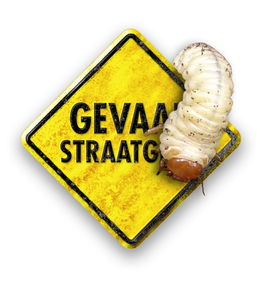 Herstel schade engerlingen en emelten met SOS