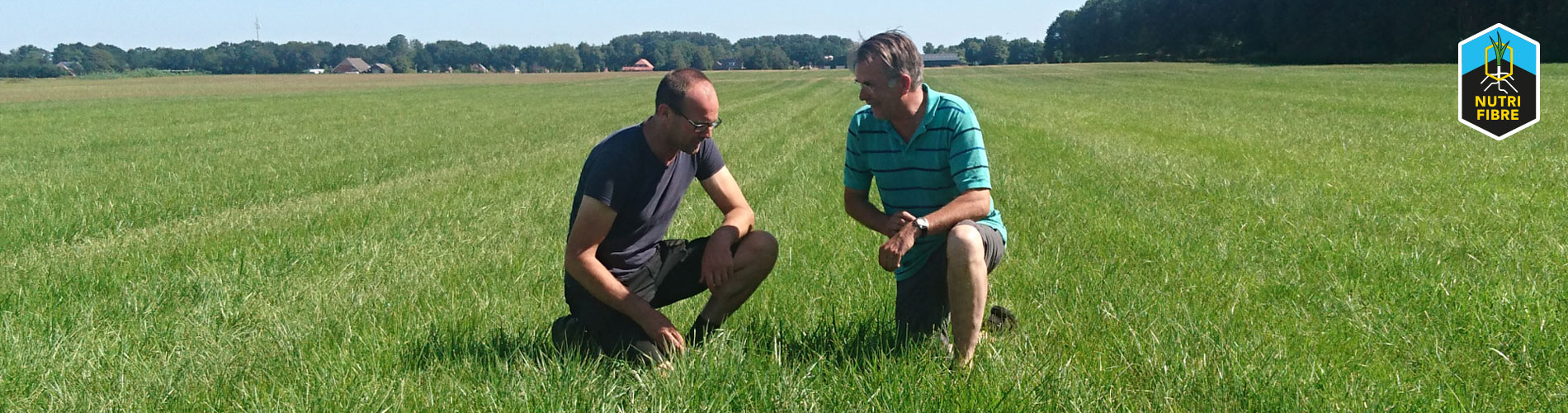 NutriFibre_Voedergras_bestand_tegen_droogte!
						