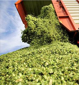 Corrigeer voorjaarskuil met de tweede grassnede