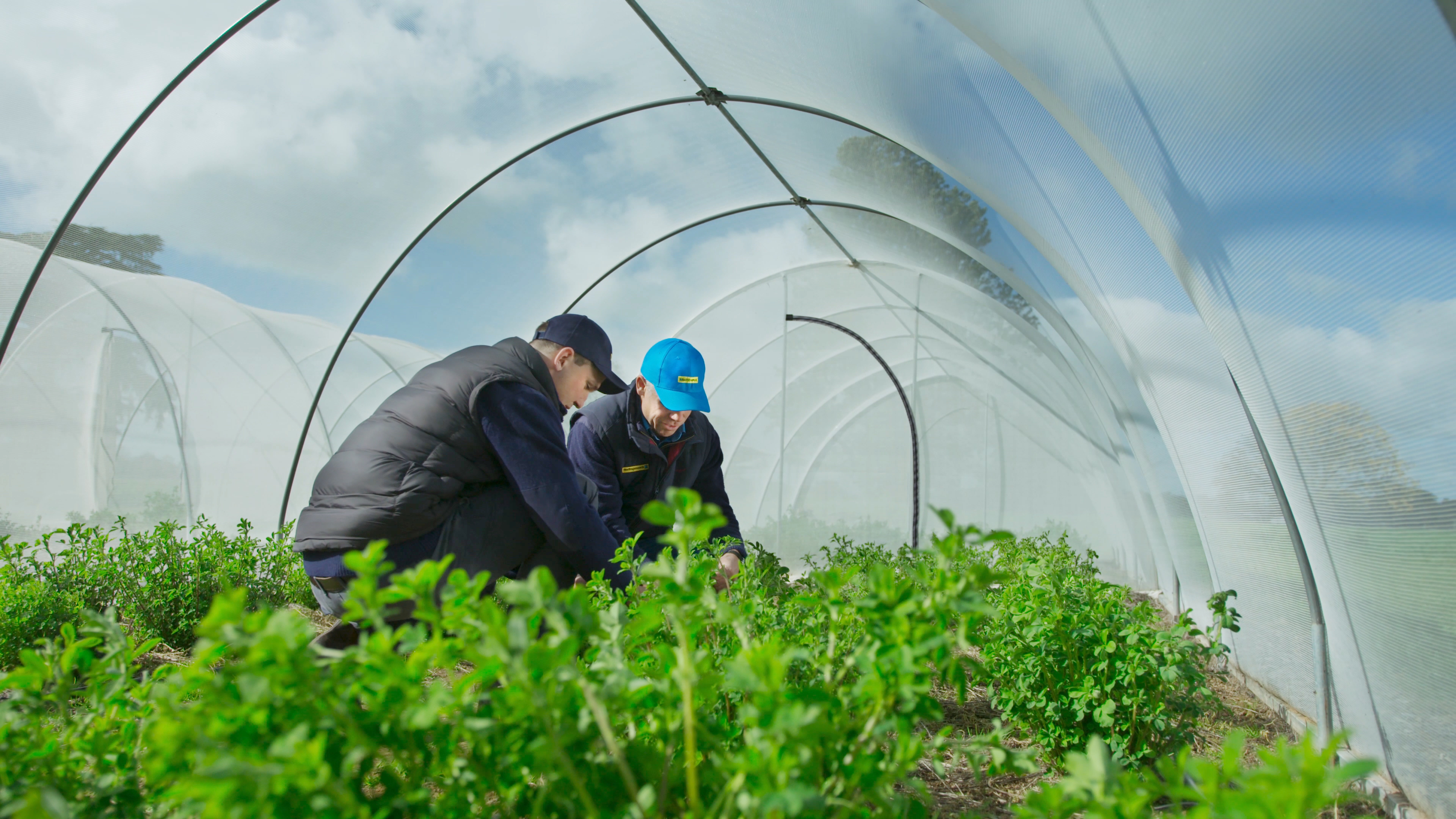 Research & Development