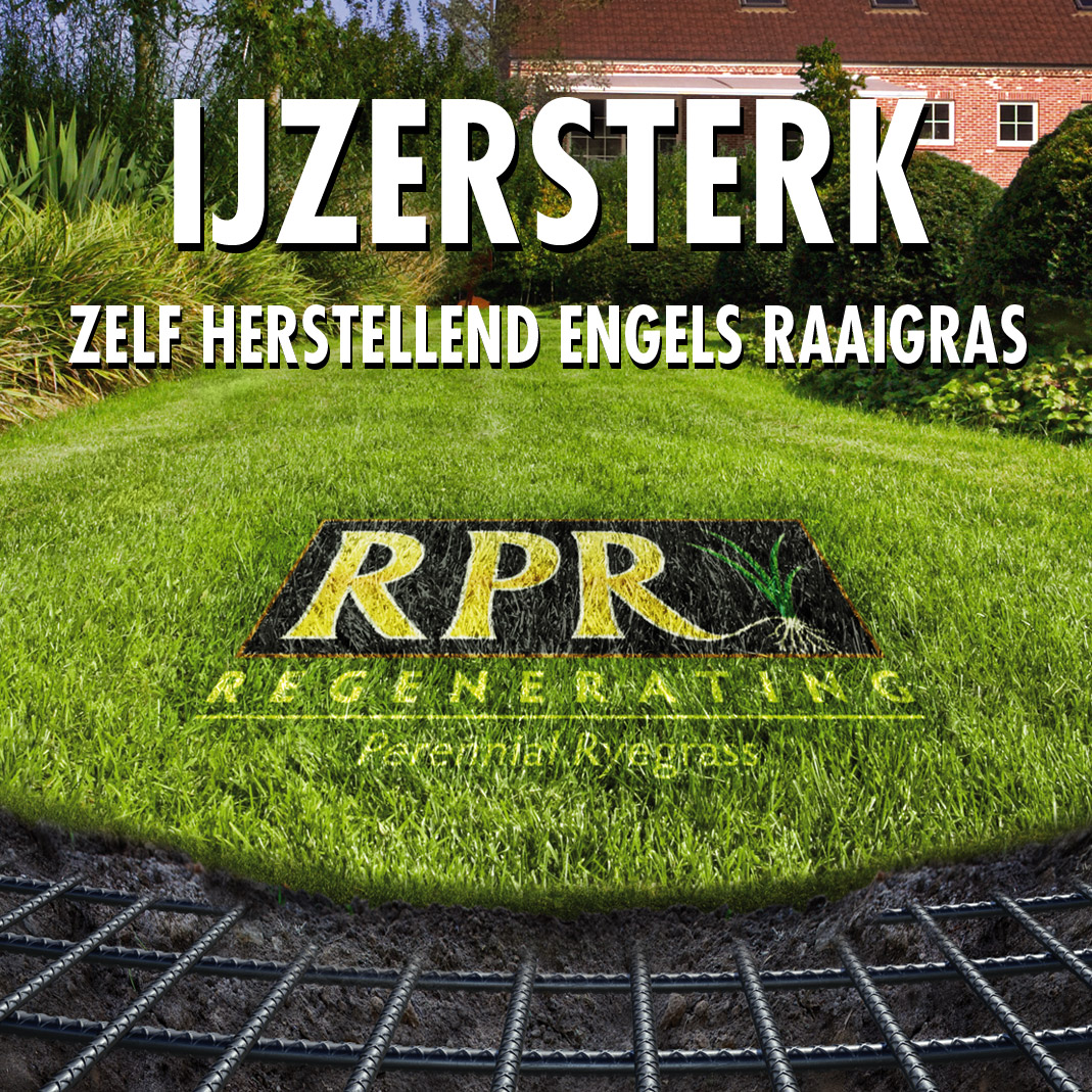 IJzersterke gazons