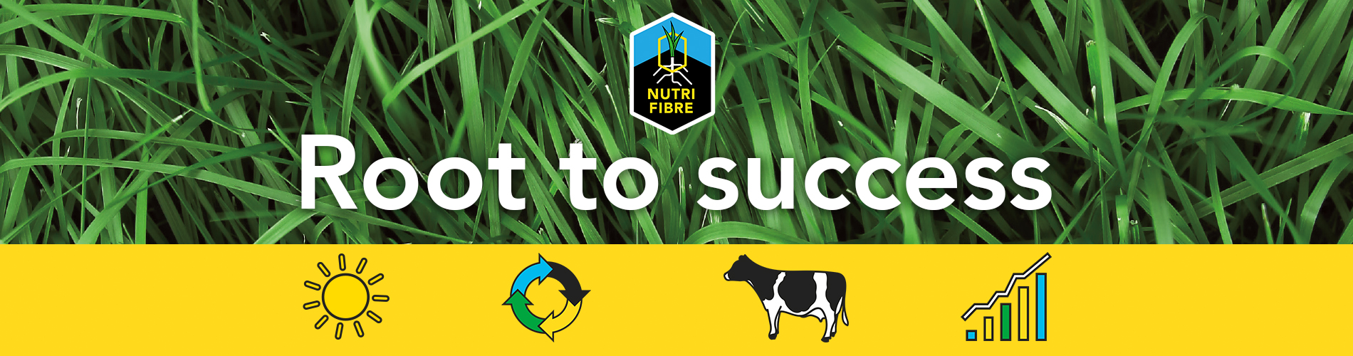 banner_nutrifibre-edit!
						