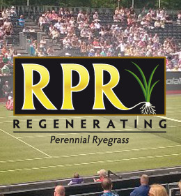 RPR de basis voor geweldige tennisbanen in Rosmalen