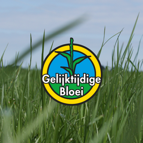 Maximaal melken met gelijktijdig bloeiende mengsels