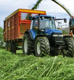 Benut je waardevolle suikerrijke voorjaarsgras optimaal