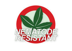 Nematoden resistant