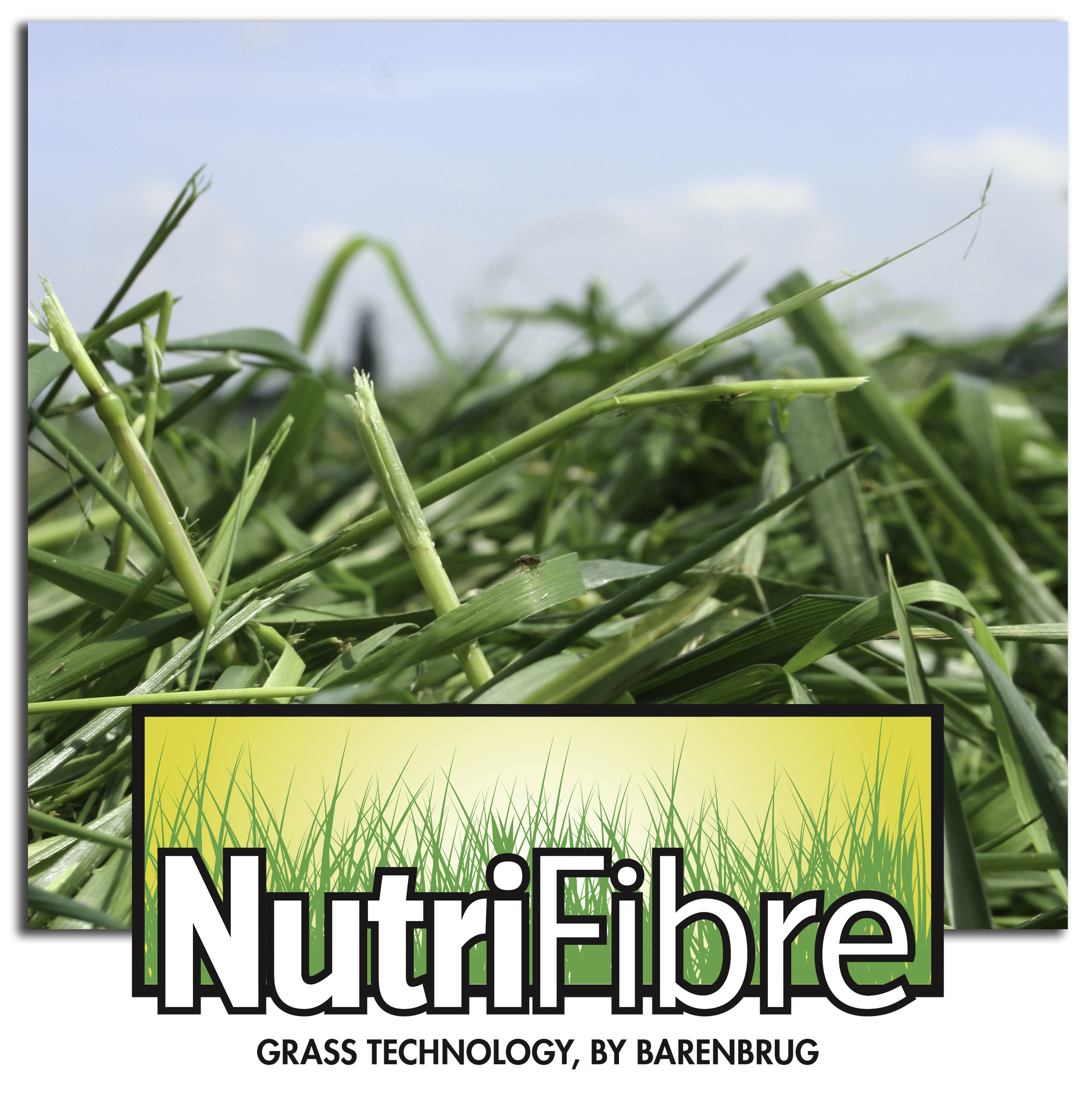 Plus de lait et des vaches en meilleure santé, avec NutriFibre.