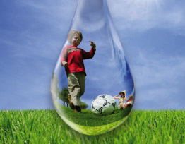 Rietzwenk heeft geen moeite met droogte en hitte