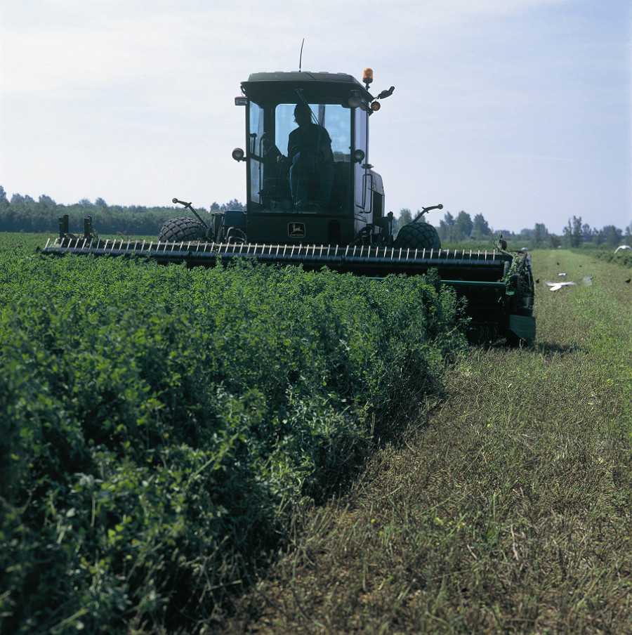 Inzichten na steeds meer ervaring met luzerne