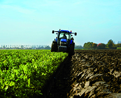 Groenbemesters voor topopbrengsten