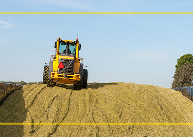 Succesvol aanleggen van jouw maiskuil