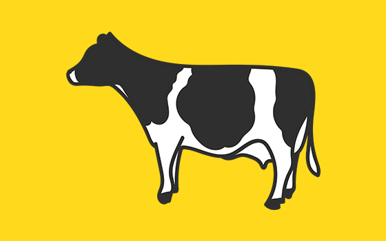 NF_healthy_cows_banner-edit!
						