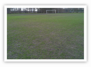 Schade grasveld na aanhoudende regen. Herstel met SOS.