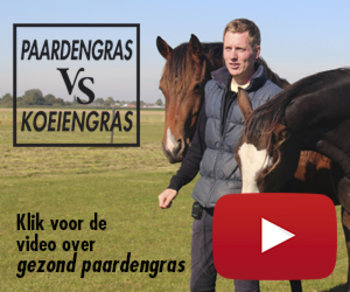 Video Paardengras versus koeiengras