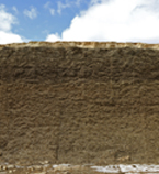 Kuil doorgeschoten gras nat in