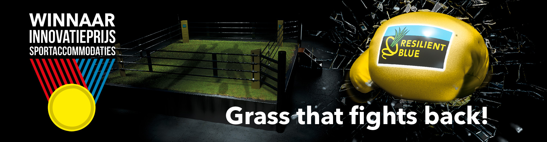 HEADER-Resilient-Blue-WINNAAR-2024!
						