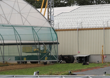 Zo groen was gras nog nooit