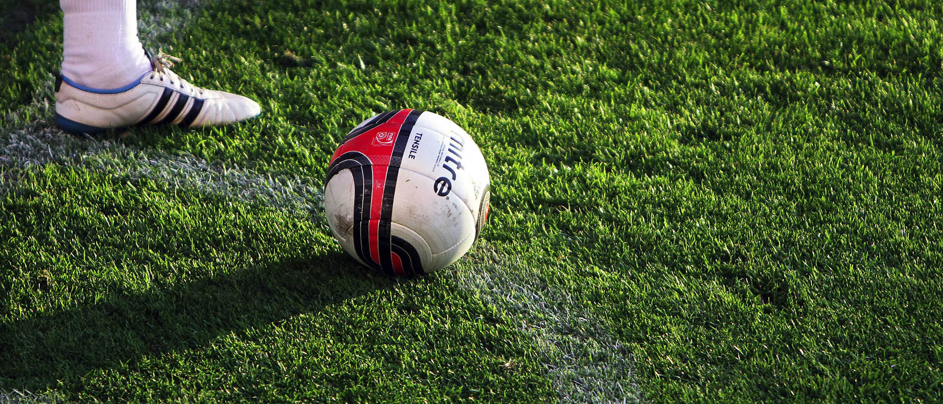 Large_Speedy_Green_New_HR!
						