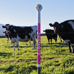 Business Development Manager