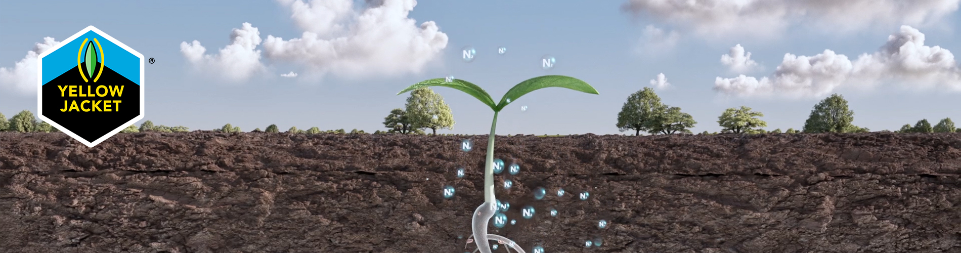 PH_Barenbrug_YellowJacket_Nitrogenerator-edit_02!
						