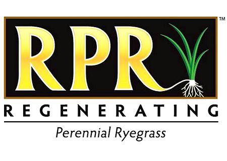 RPR - Regenerating Perennial Ryegrass