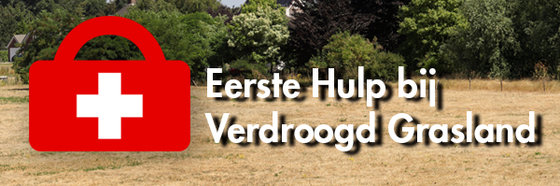 Header_EHBO_bij_verdroogd_grasland