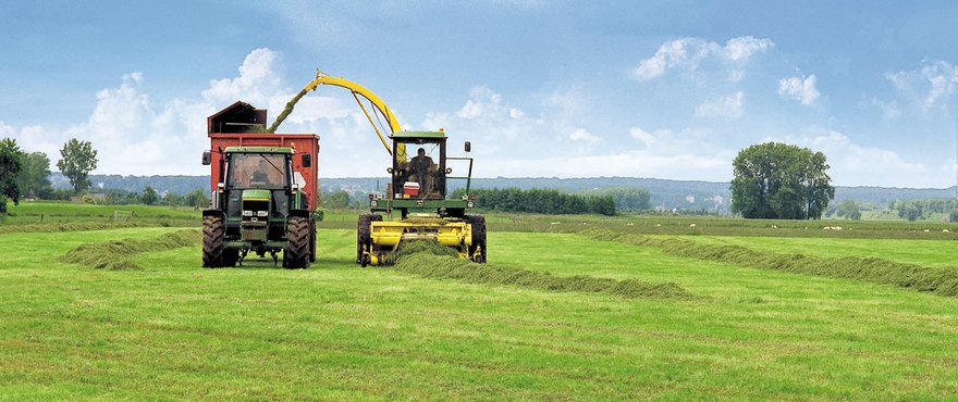 Large_Bonsilage_Plus_HR