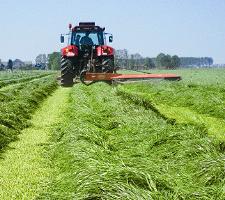 Uw grasland herstellen. Doe het vóór de winter.