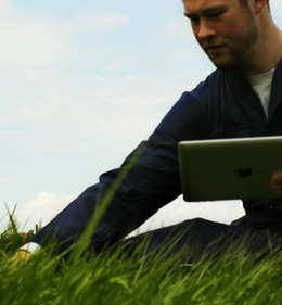 Kies voor mengsels met de beste rassen