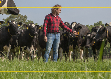 Vanaf half maart een weidesnede