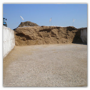 graskuil 