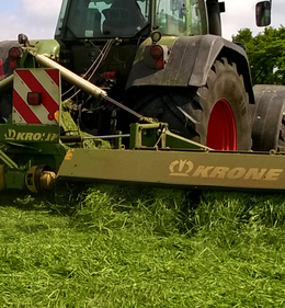 Eiwit telen doe je zelf