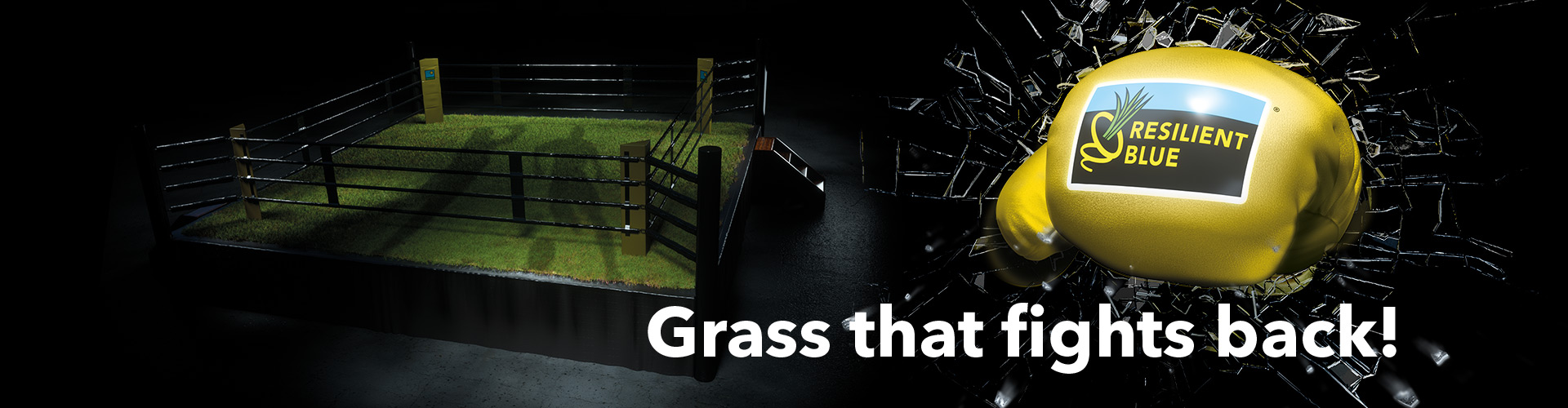 HEADER-Turf-ResilientBlue-500p-2024!
						