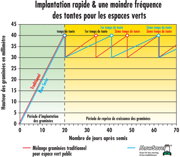 Implantation rapide & une moindre fréquence des tontes