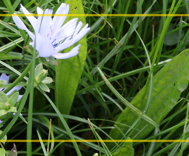 Ontvang een beloning van honderden euro’s per hectare