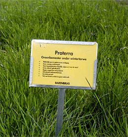 Mts. van der Werff teelt consequent Proterra in dekvrucht tarwe