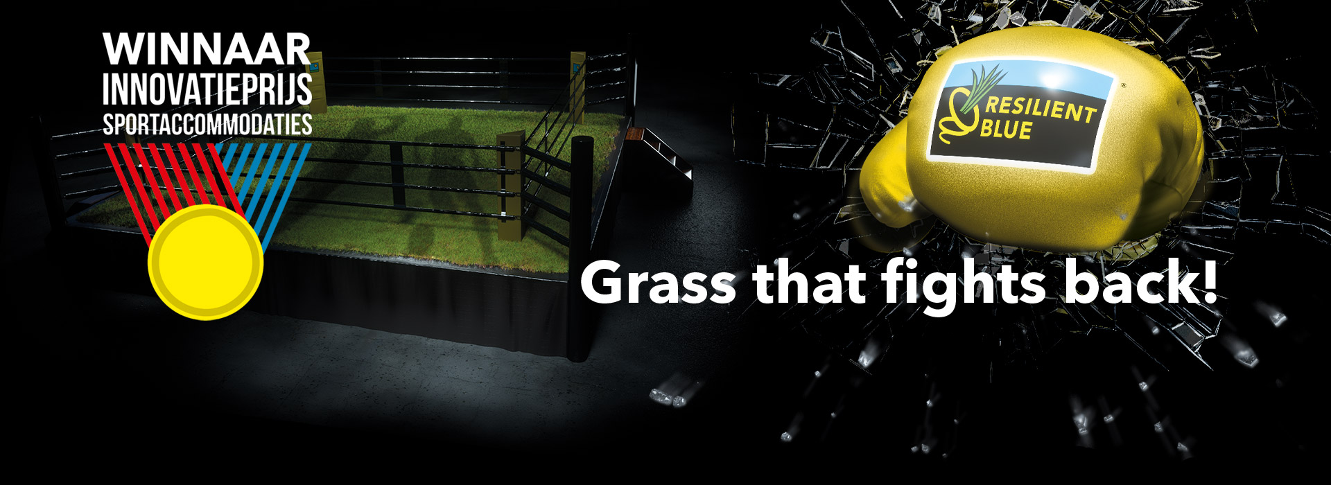 HEADER-Turf-WIN-Resilient-Blue-700p-2024!
						