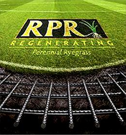 Barenbrug représenté lors de la finale du Championnat d’Europe de football 2012