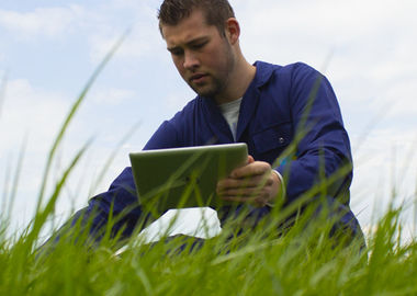 Maak je grasland winterklaar