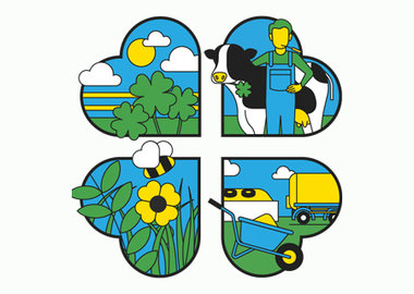 Klaver brengt meer dan geluk