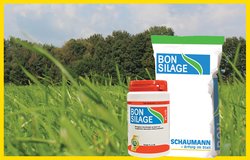Bonsilage Plus