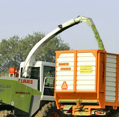 Gezonde koe en meer melk met inkuilmiddel Bonsilage Fit Mais
