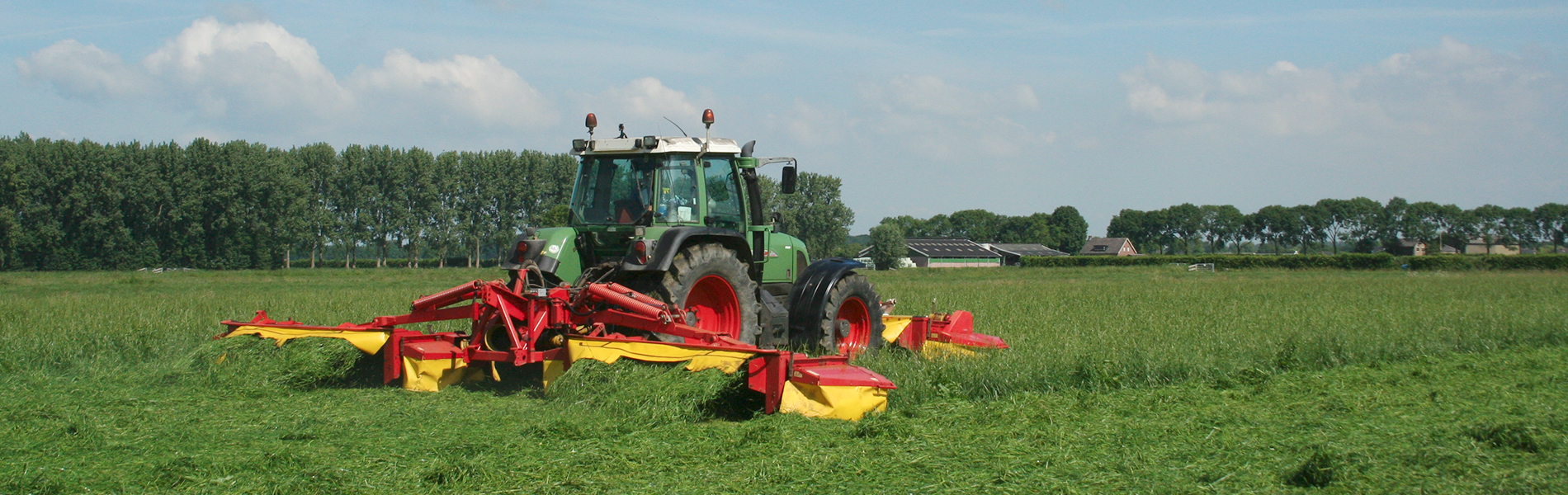 Dit moet je doen met suikerrijk voorjaarsgras
