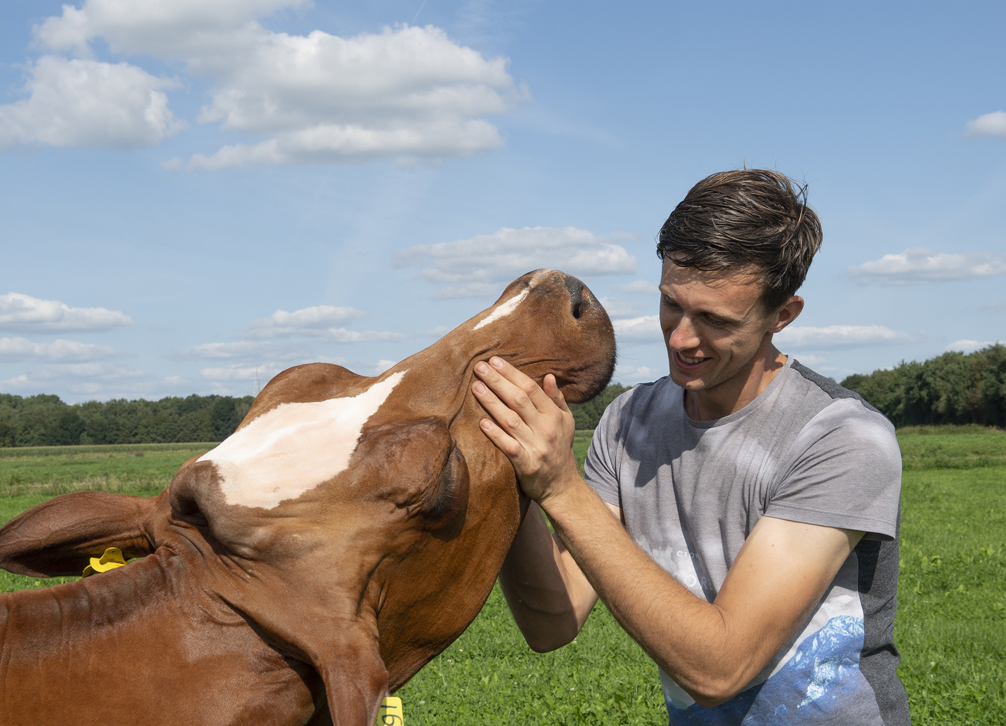 Melkveehouder Albring kiest voor een productieve eiwitteelt in droge zomer