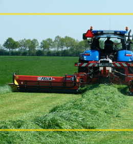 ILVO bewijst grote verschillen in Italiaans raaigras