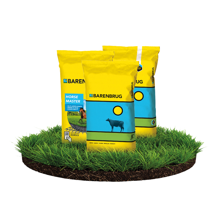 Barenbrug voedergras packshot compositie