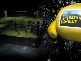 RB Sport Header